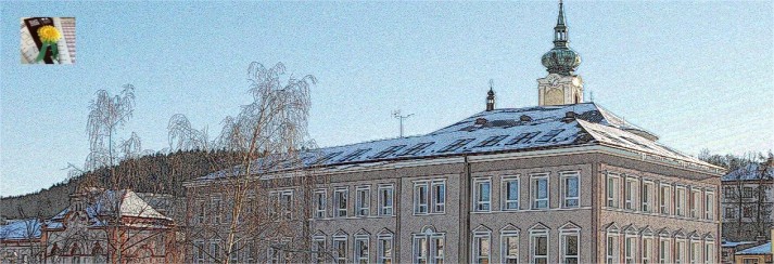 Sbírka - Český den proti rakovině